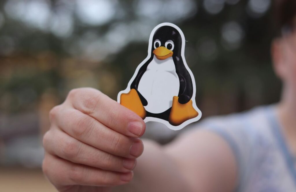 What Are All the Benefits of Using Kali Linux