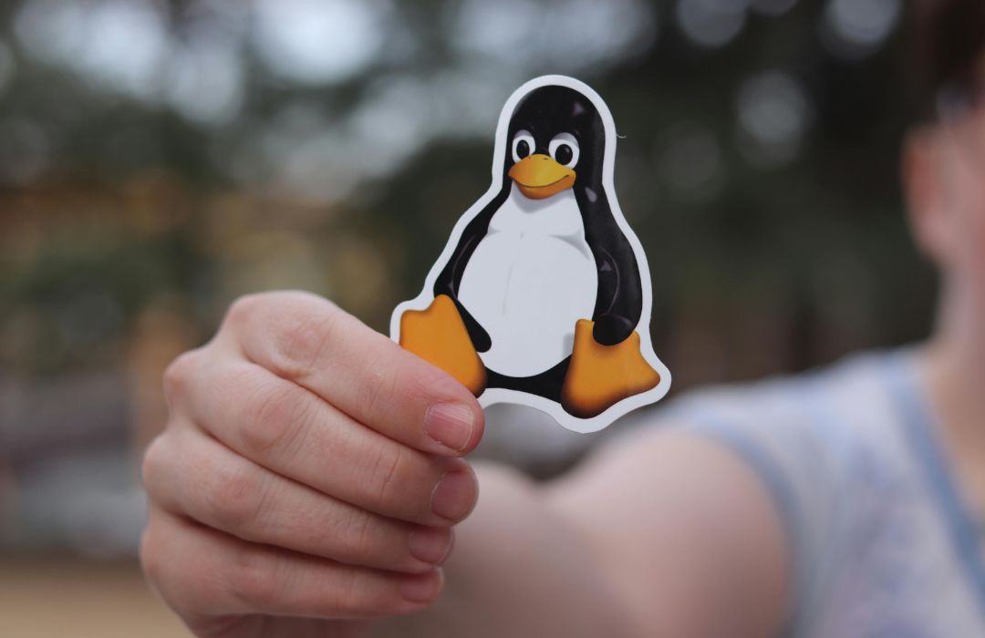Read more about the article What Are All the Benefits of Using Kali Linux?