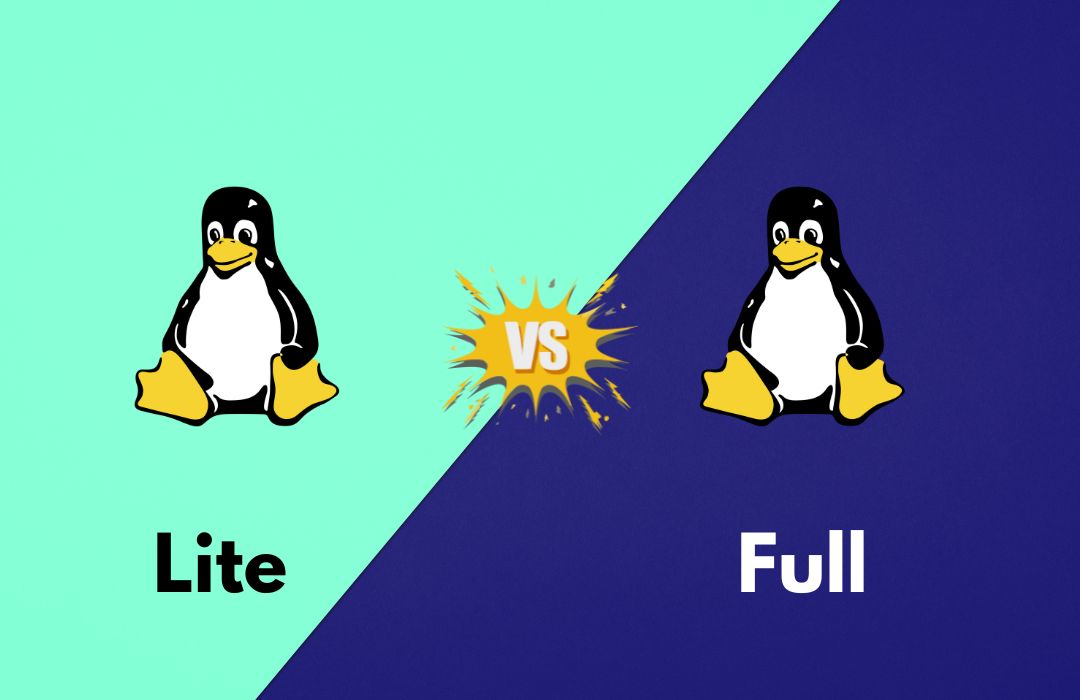 Read more about the article Kali Linux vs Kali Linux Lite || What Are the Difference?